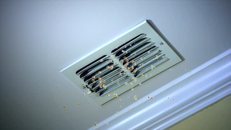 Best Affordable HVAC Duct Cleaning  in Estero, FL