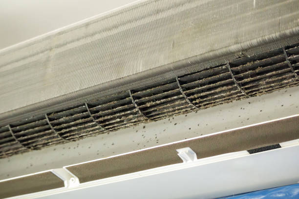 Best HVAC Duct Inspection Services  in Estero, FL