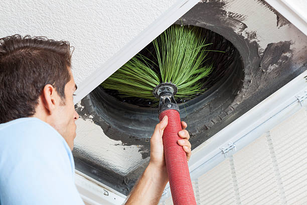 Best Professional Duct Cleaning Services  in Estero, FL
